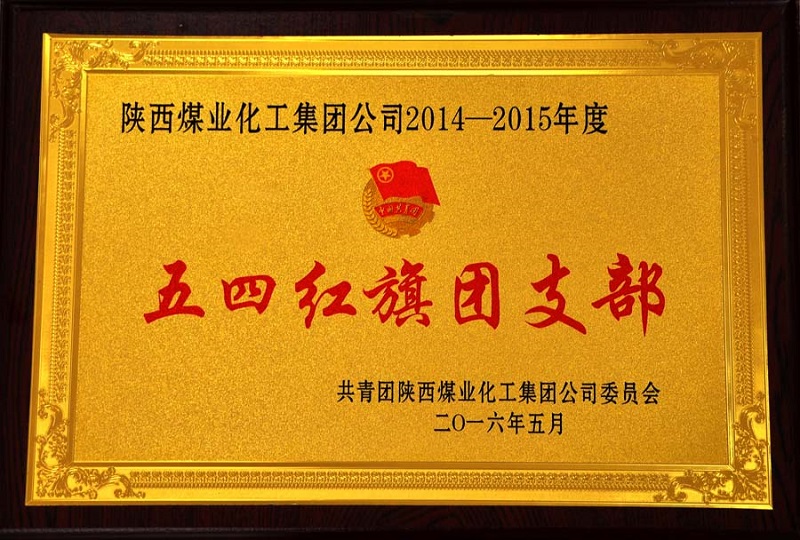 公司荣获2014-2015年度五四红旗团支部