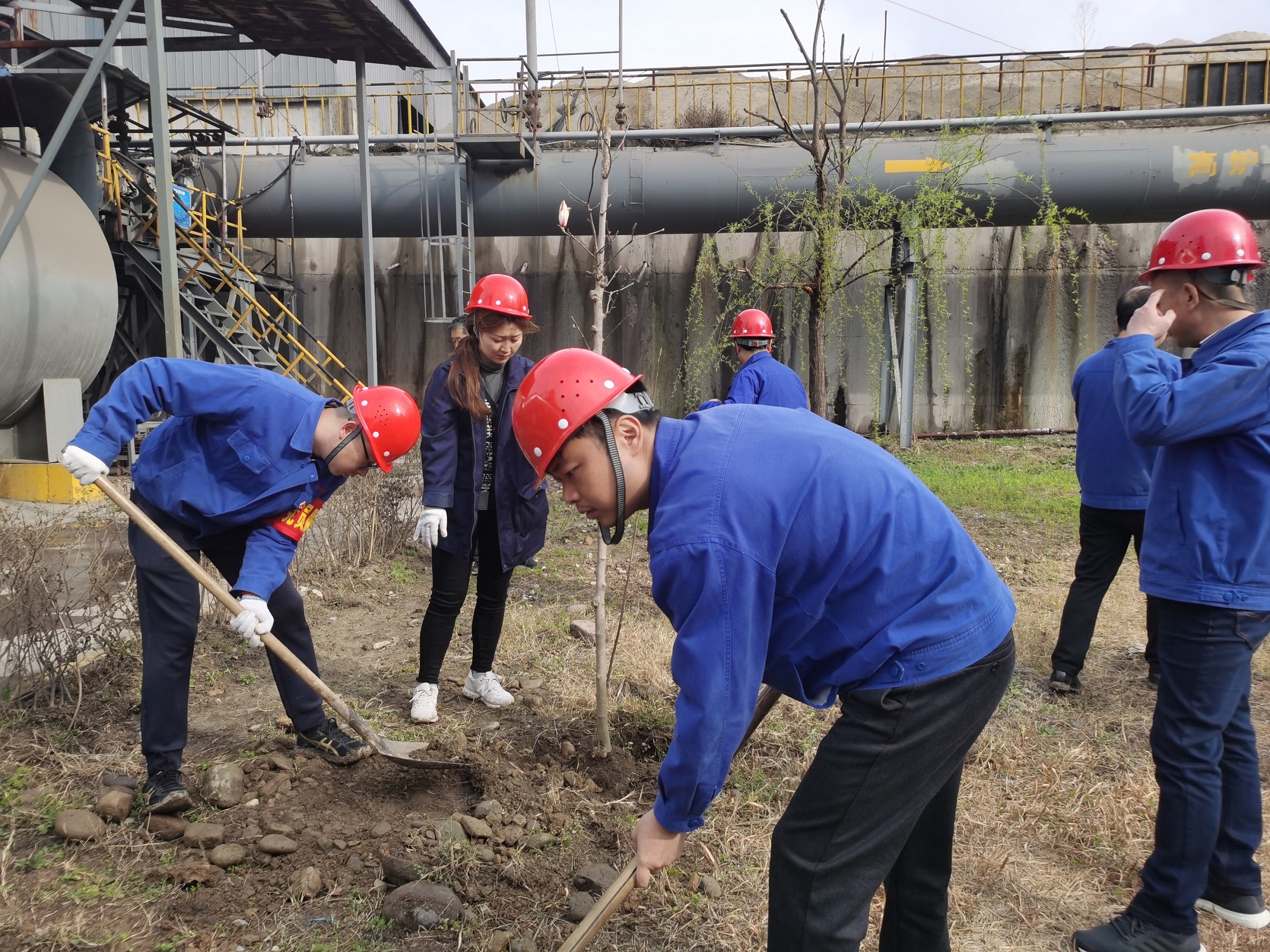 阳春三月时 植树正当时—汉中公司机关党支部开展植树主题党日活动