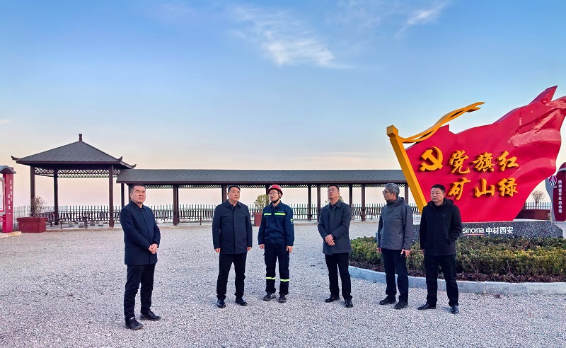 渭南市自然资源和规划局到富平公司检查指导工作